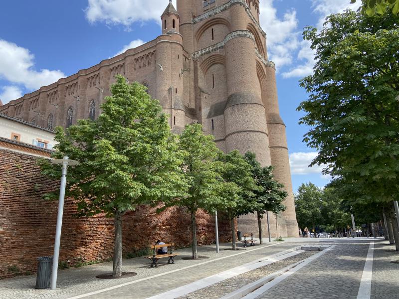 Cathédrale Sainte Cécile à Albi